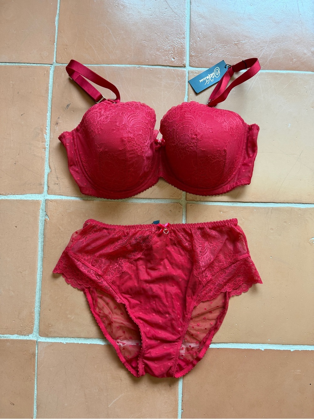 Dita Von Teese Fiamma Red Lace Bra 42DD & Brief XL NWT